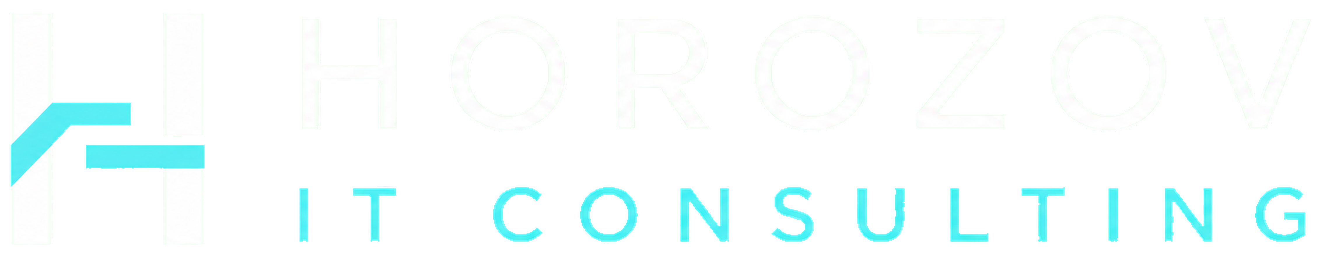 Horozov IT Consulting